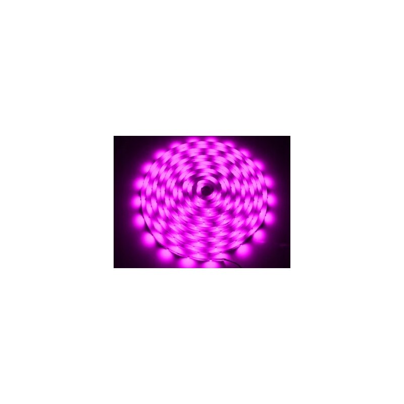 TAŚMA LISTWA 5m LED RGB 300diod SMD 5050 IP20 14,4W/m