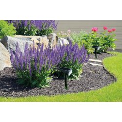 Reflektor PREMIUM ruchomy solarny OGRODOWA LAMPA SOLARNA WBIJANA LED NW