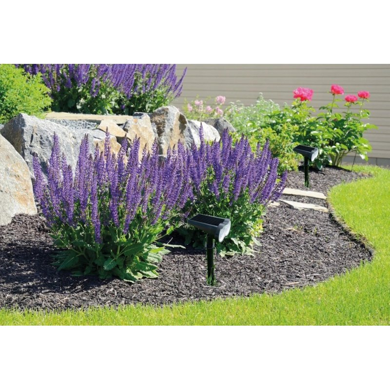 Reflektor PREMIUM ruchomy solarny OGRODOWA LAMPA SOLARNA WBIJANA LED NW