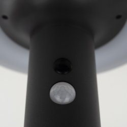 Lampka PREMIUM ogrodowa SOLARNA TALERZ słupek ogrodowy mocny LED NW + PIR