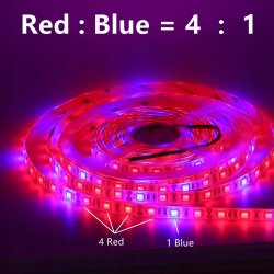 Taśma LED SMD5050 hermetyczna IP65 5m 4:1 roślinna do wzrostu roślin grow