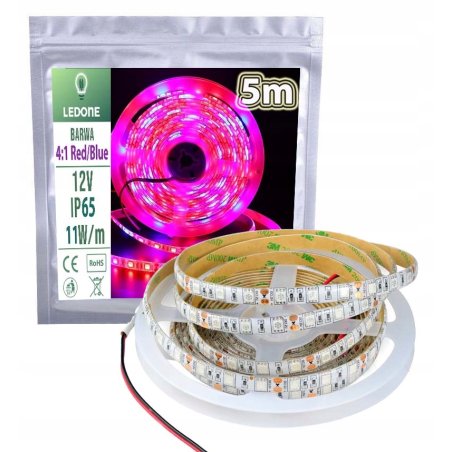 Taśma LED SMD5050...