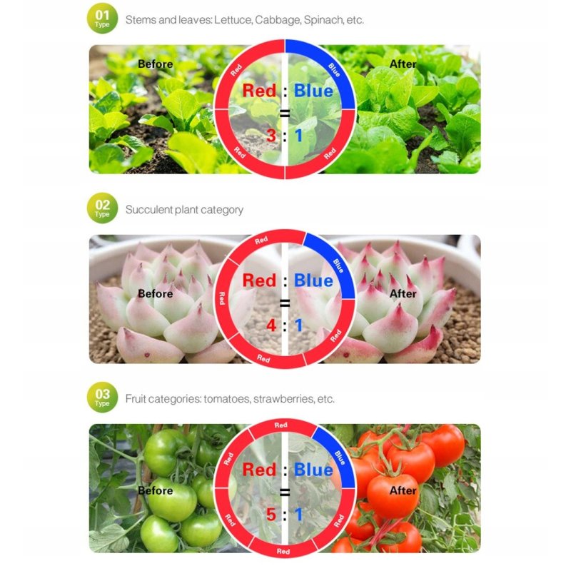 Taśma LED SMD5050 hermetyczna IP65 5m 4:1 roślinna do wzrostu roślin grow