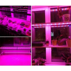 Taśma LED SMD5050 hermetyczna IP65 5m 4:1 roślinna do wzrostu roślin grow