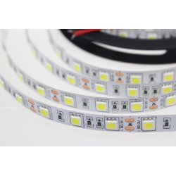 TAŚMA listwa 300 LED 5050 SMD 5m BIAŁA ZIMNA IP20