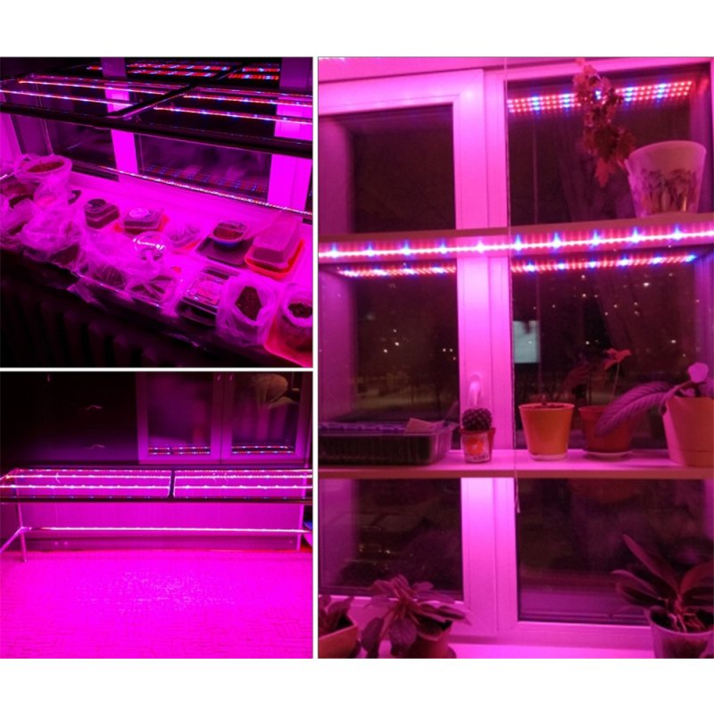 Taśma LED 5050 IP20 1m 4:1 roślinna do wzrostu doślin grow