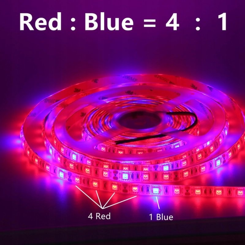 Taśma LED SMD5050 hermetyczna IP65 5m 4:1 roślinna do wzrostu roślin grow
