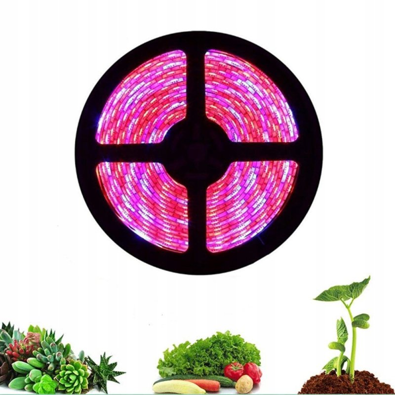 Taśma LED SMD5050 hermetyczna IP65 5m 4:1 roślinna do wzrostu roślin grow