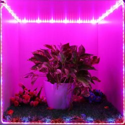 Taśma LED SMD5050 hermetyczna IP65 5m 4:1 roślinna do wzrostu roślin grow