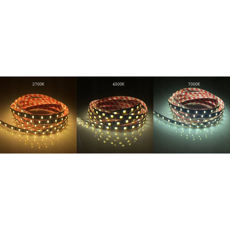 TAŚMA LED PREMIUM RGB + CCT naprzemienna rgbw 12V 5050 IP20 300diod 5m