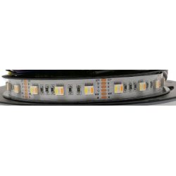 Taśma LED PREMIUM RGB+CCT 5w1 5m Ciepły Zimny 24V RGBCCT