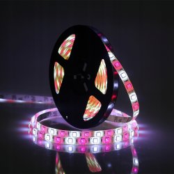 Taśma LED 5050 300 LED IP65 5m - RGBW + CW Zimna