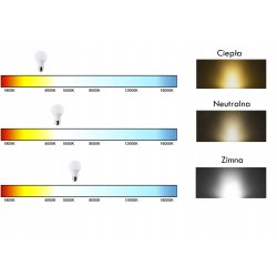 Naświetlacz halogen SLIM lampa LED 10W NW barwa światła neutralna