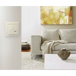 GNIAZDO PODWÓJNE z/Uz z RAMKĄ seria OSPEL AS 1kpl.