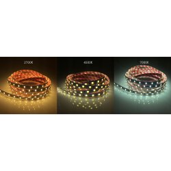 TAŚMA LED PREMIUM RGB + CCT naprzemienna rgbw 12V 5050 IP20 300diod 1mb